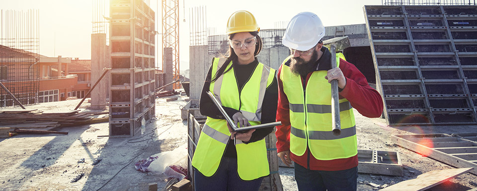 Bild zu BIM Manager (m/w/d)